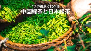 【7つの視点で比べる】中国緑茶と日本緑茶